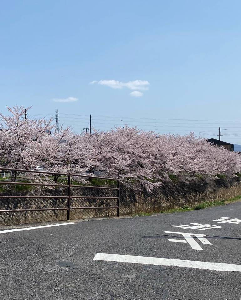 E7A74559-D8DD-4964-9F34-B83B5E871E2F