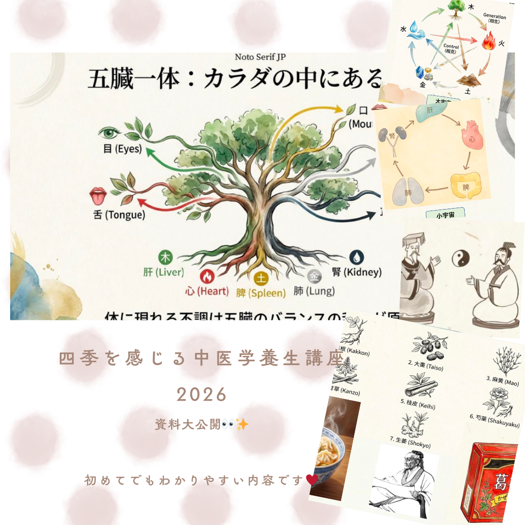 四季を感じる中医学養生講座2026が始まりました！